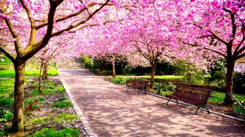 Oggi, 20 Marzo, è l'equinozio di Primavera! Ma non era il 21?